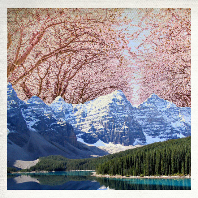Seclusion cover art