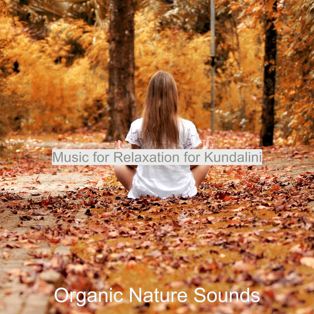 Music for Relaxation for Kundalini - Album by Organic Nature Sounds ...