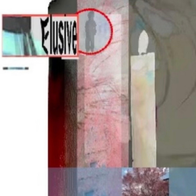 elusive cover art