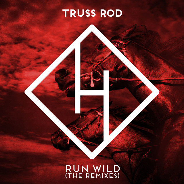 Run Wild (The Remixes) cover