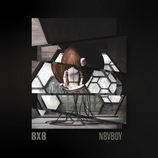 BX8
