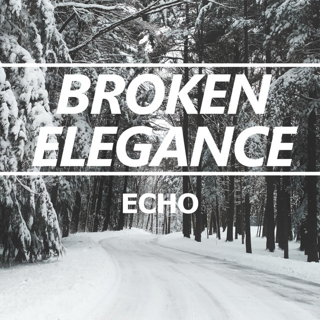 Echo cover