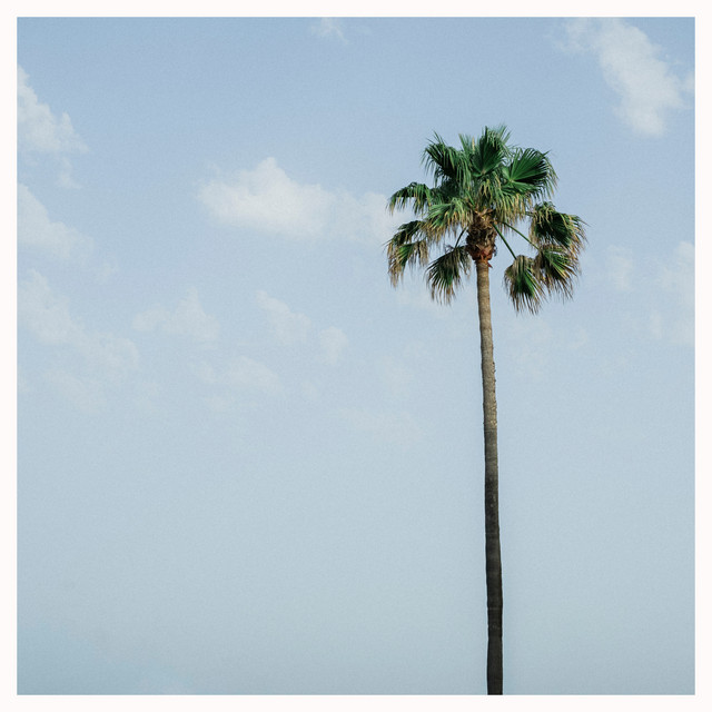 Palm Trees & Blue Skies cover art