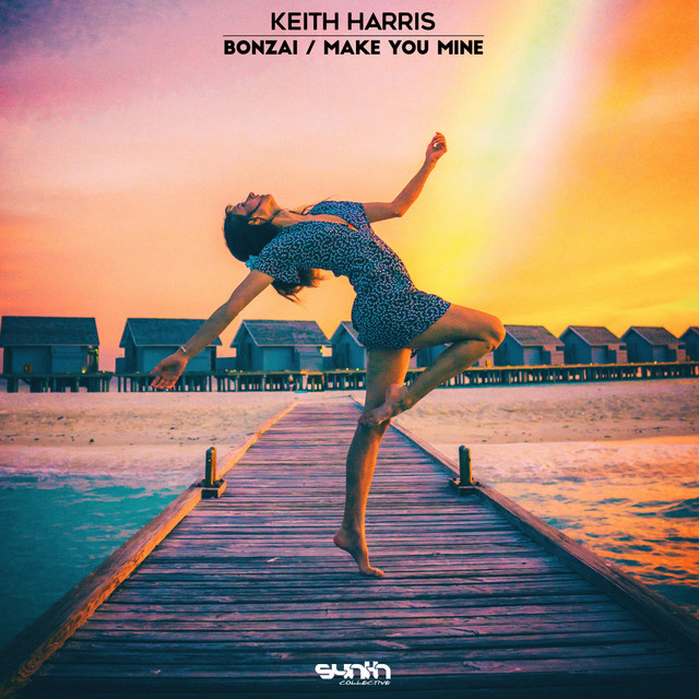 Bonzai cover art