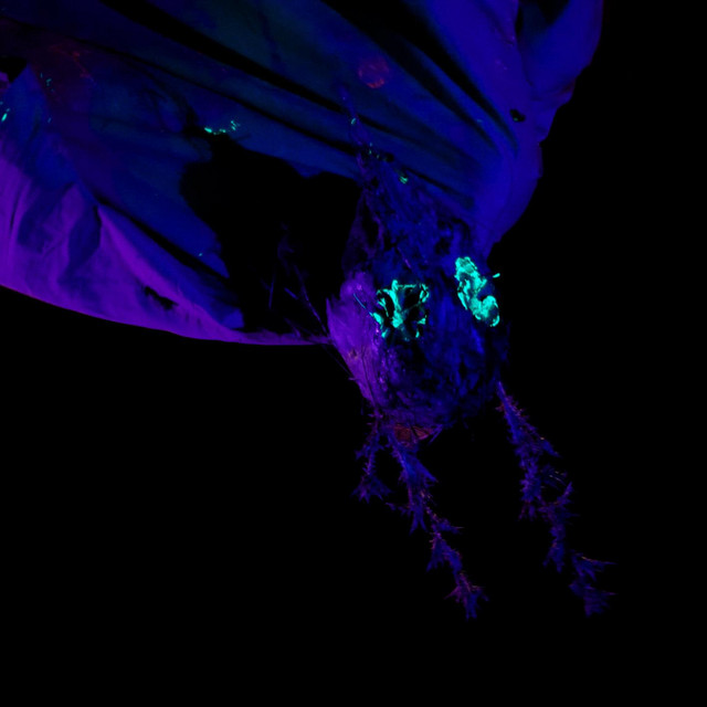 In braccio alla luna