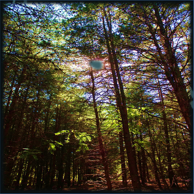 Pause cover art