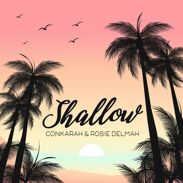 Shallow cover art