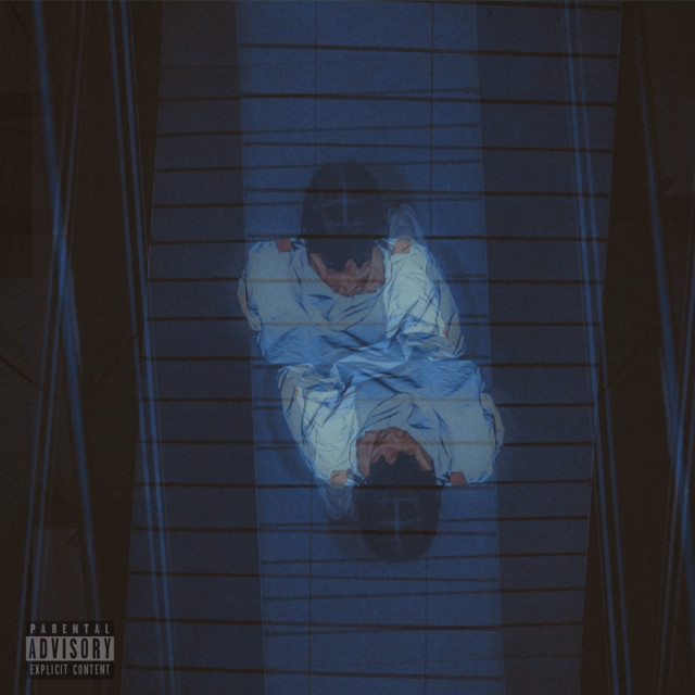 GOIN96HOST 2 cover art