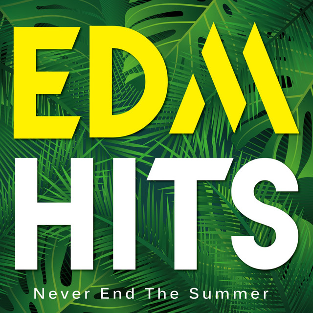 EDM HITS - Never End The Summer - cover art