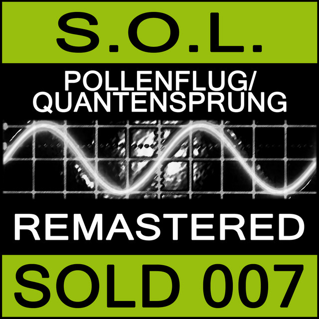 Pollenflug / Quantensprung (2013 Remastered) cover art