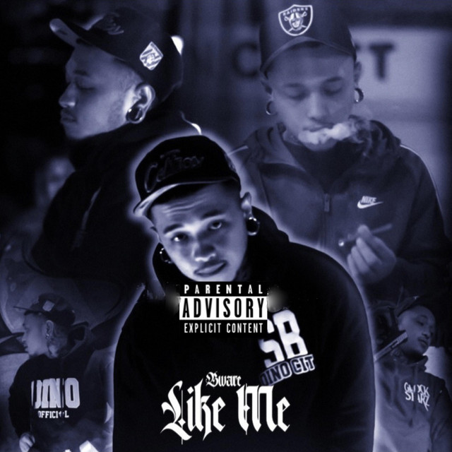 Like Me cover art