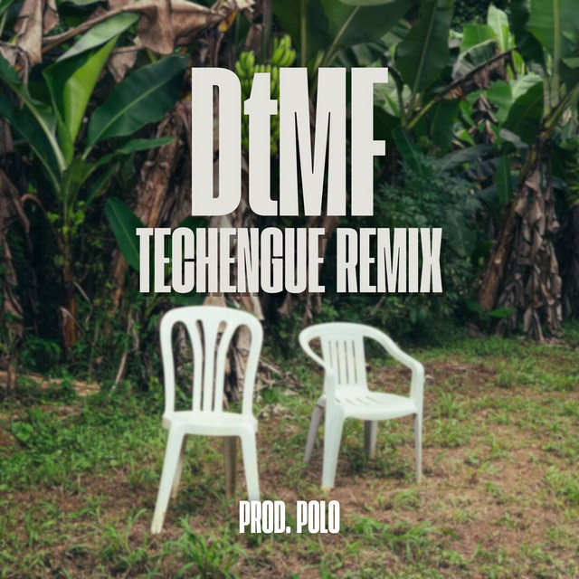 DtMF - Techengue