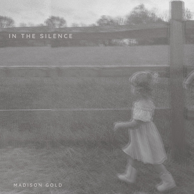 In the Silence cover