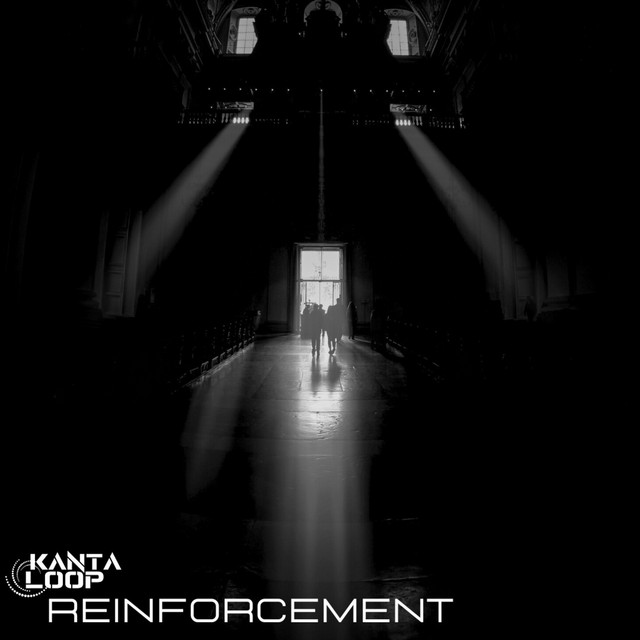 Reinforcement cover art