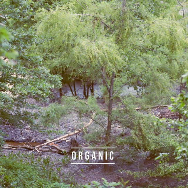 Organic cover art
