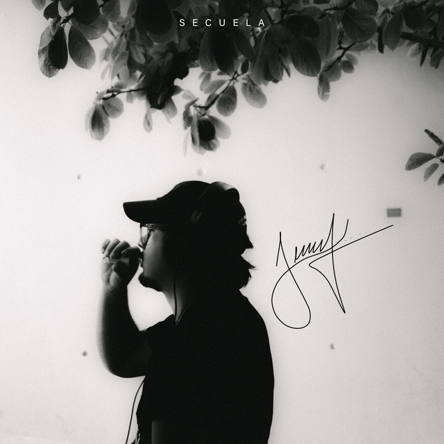Ig cover art
