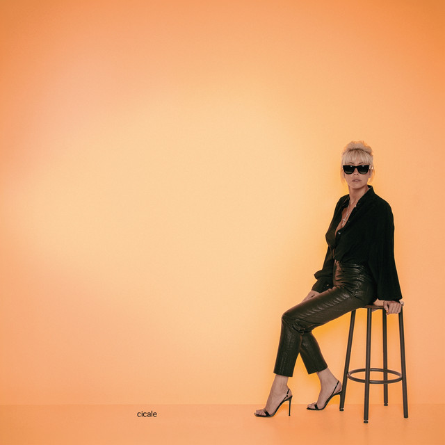 cicale album image