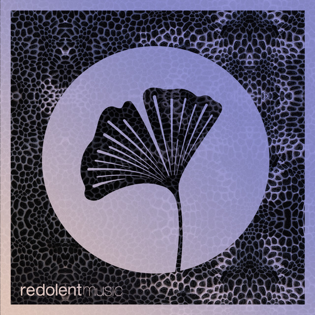 Raw is Real - Extended Mix album art