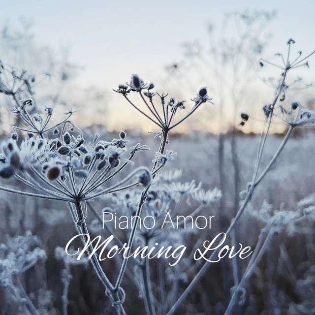 Обкладинка: Morning Love — Piano Amor