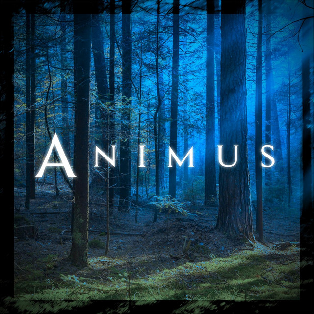 Animus cover art