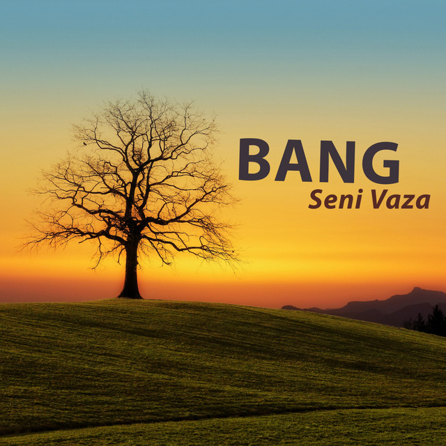 Gelê Roj cover art