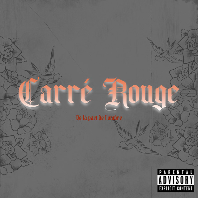 De la part de l'ombre cover art