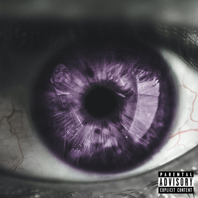 The Vision cover art