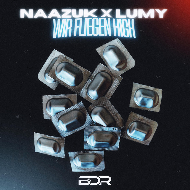 Cover art: Wir Fliegen High — NAAZUK
