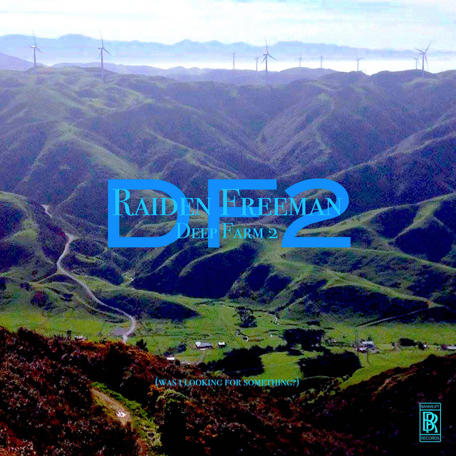 DF2 cover art