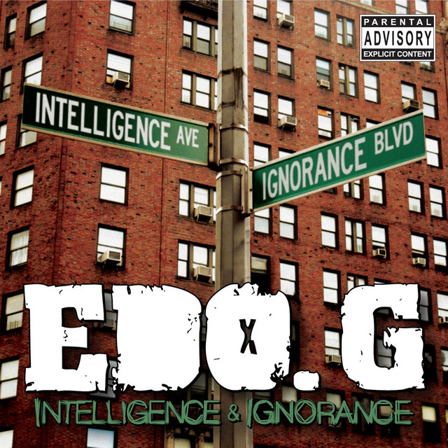 Intelligence & Ignorance cover art