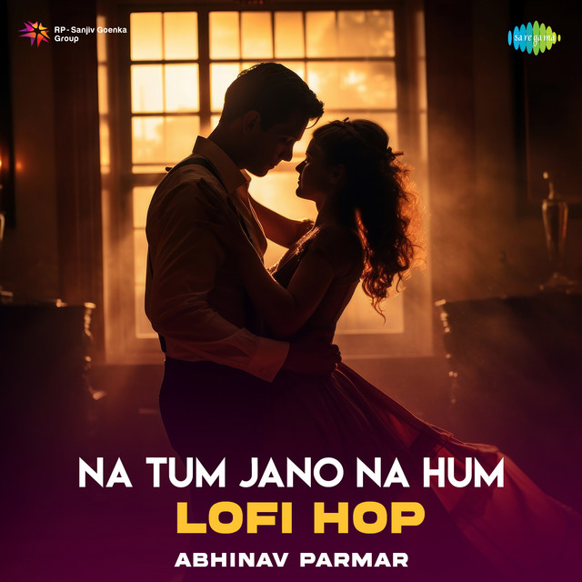 Na Tum Jano Na Hum - Lofi Hop album image