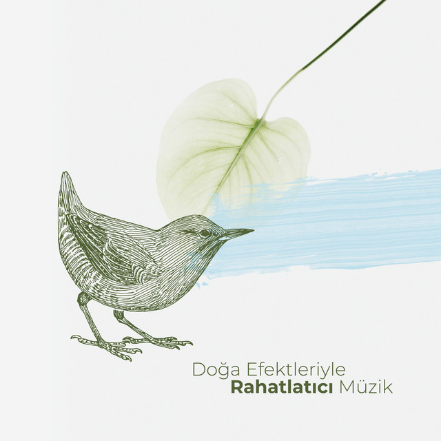 Doğa Efektleriyle Rahatlatıcı Müzik: Spa, Uyku, Meditasyon cover art