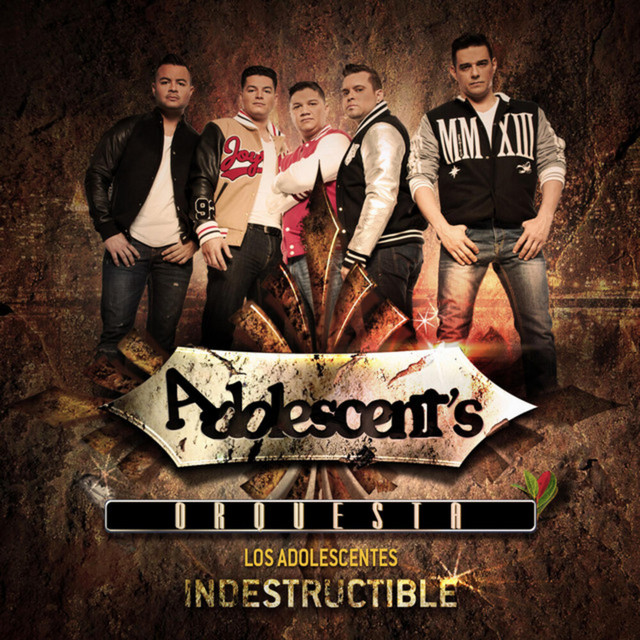 INDESTRUCTIBLE cover art