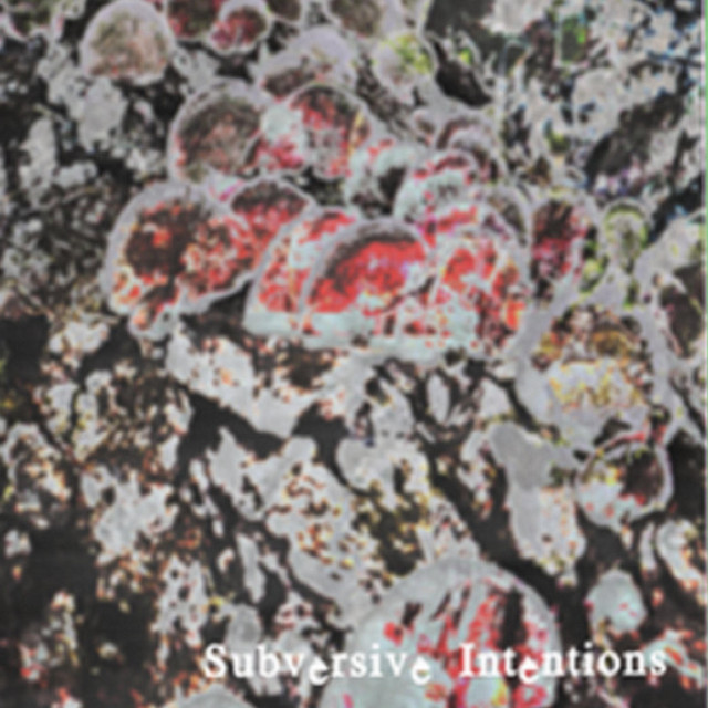 Kingdom Fungi cover
