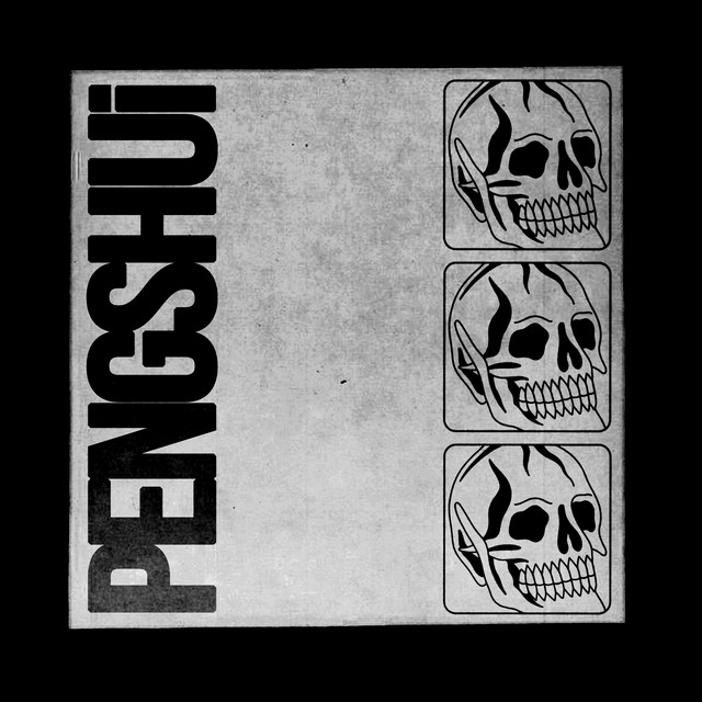 PENGSHUi cover art