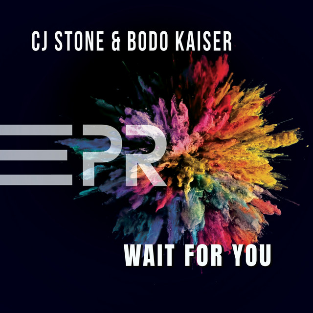 Wait for You cover