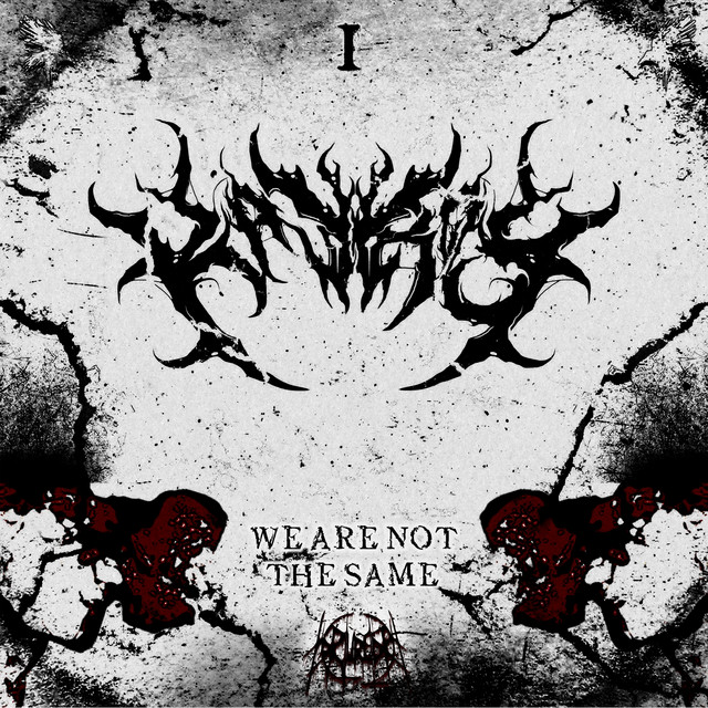 Cover art: WE ARE NOT THE SAME — KAYROS