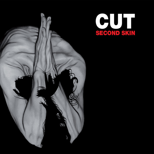 Second Skin cover art