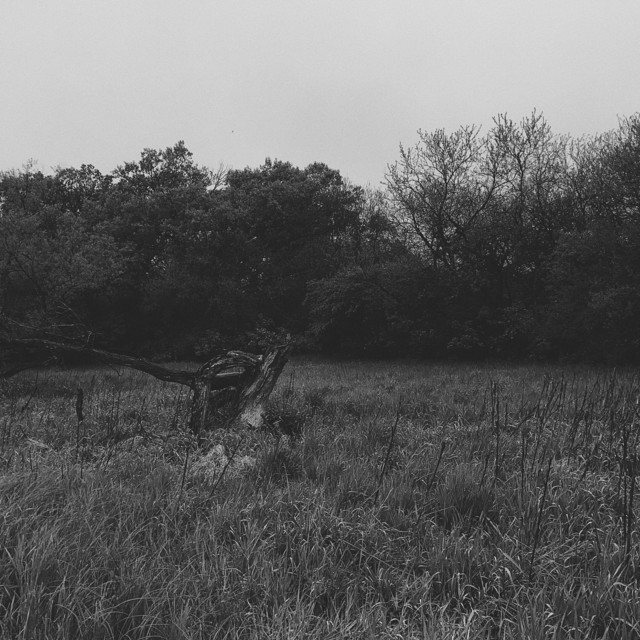 Uncertainty cover art