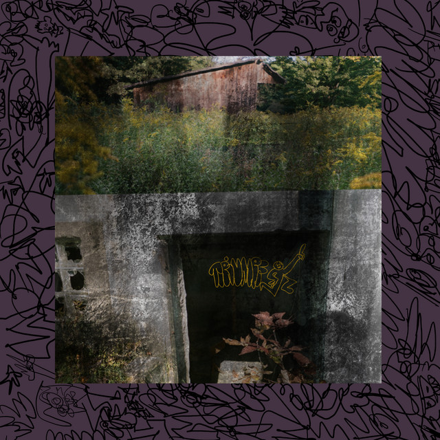 TRIUMPF 1 cover art