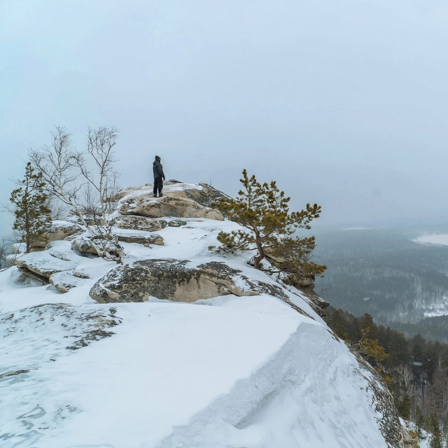 Phantom View
