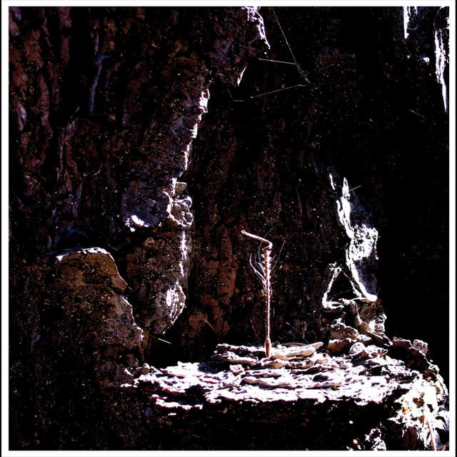 Coveting cover art