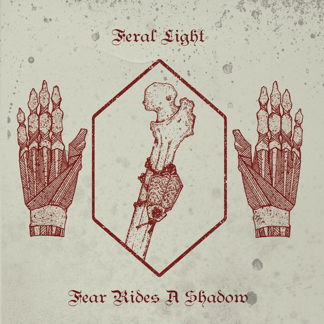 Feral Light Image