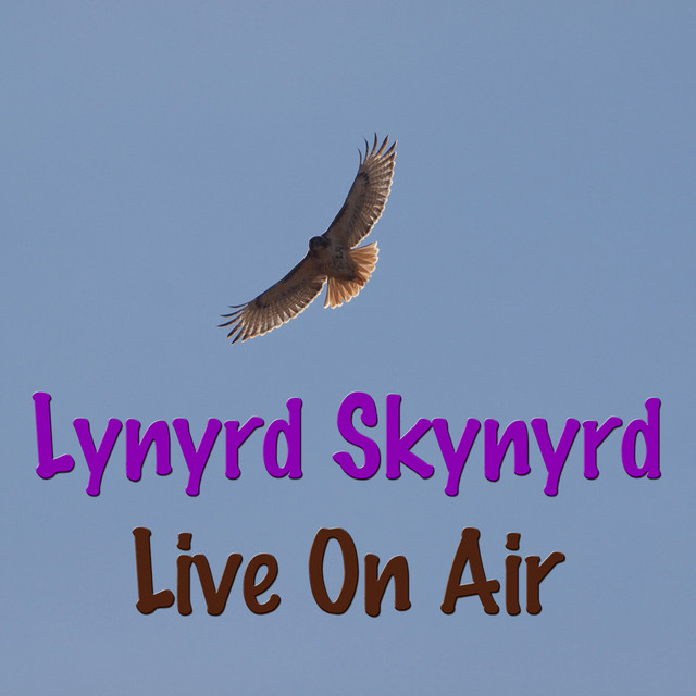 In Concert (Lynyrd Skynyrd On Air Collection)