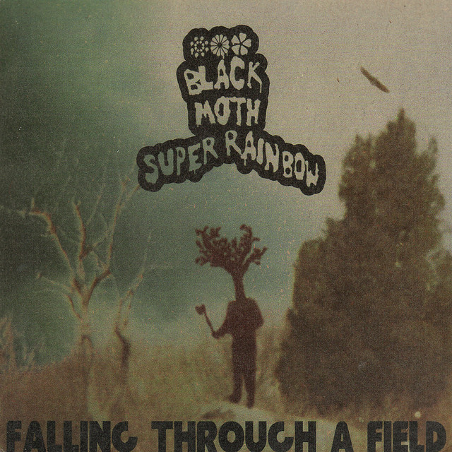 Falling Through A Field (Reissue) cover art