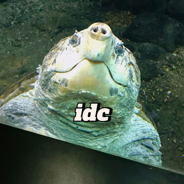 idc cover art