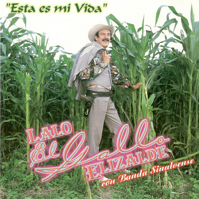 La Pecosita - música y letra de Lalo El Gallo Elizalde | Spotify