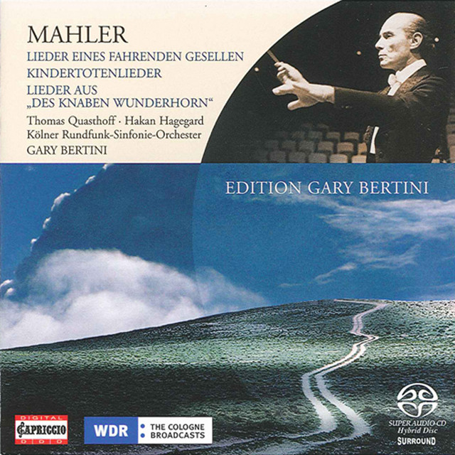 Lieder eines fahrenden Gesellen: No. 1, Wenn mein Schatz Hochzeit macht cover art