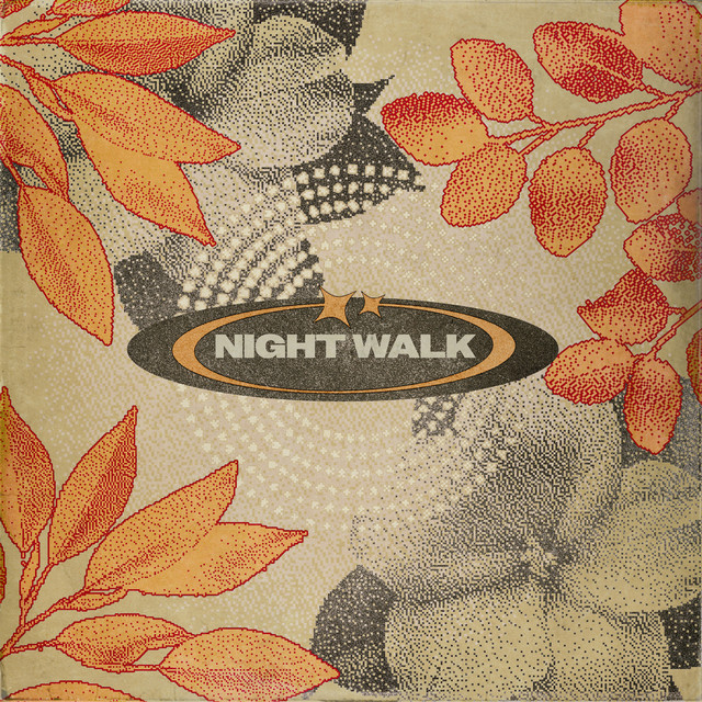 Night Walk