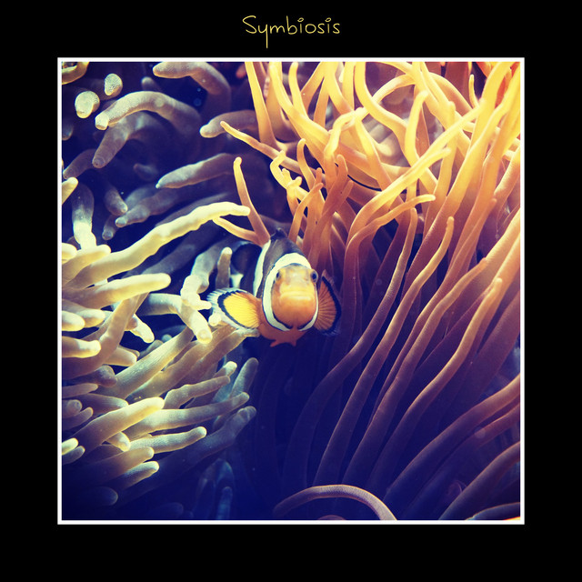 Symbiosis cover art